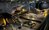 Szenografie T.rex