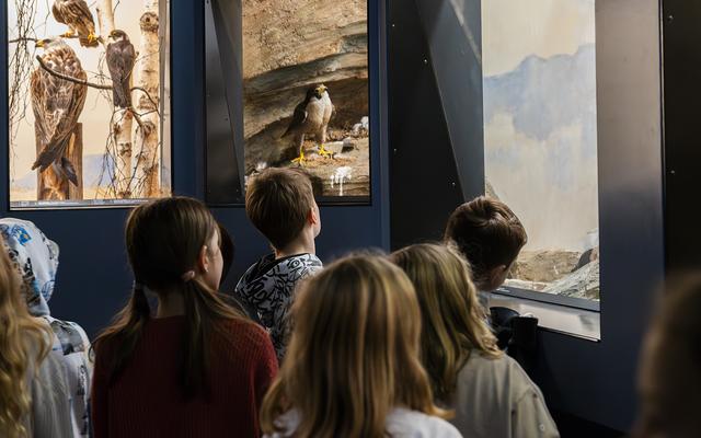 Klassenbesuch in der Ausstellung