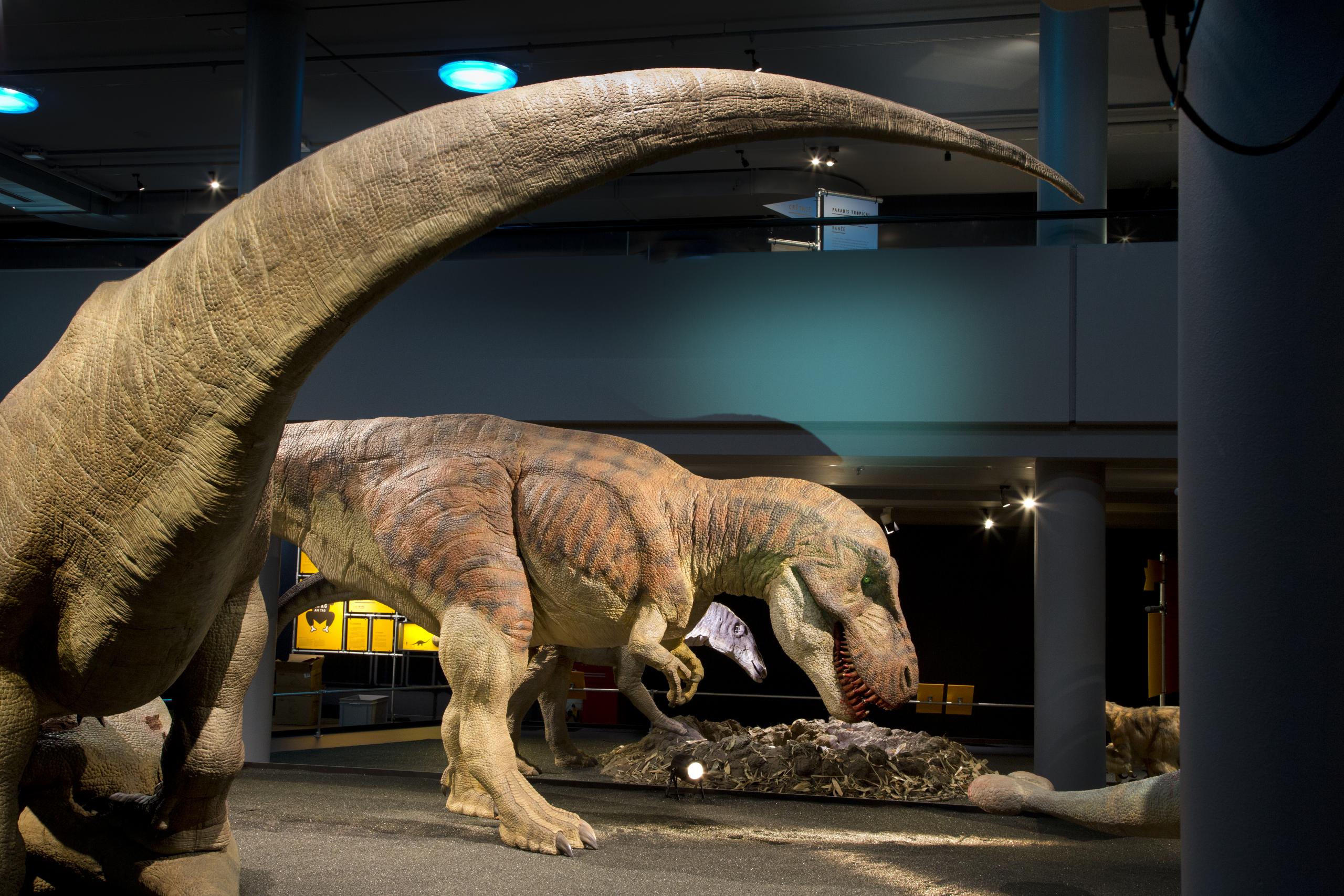 T. rex